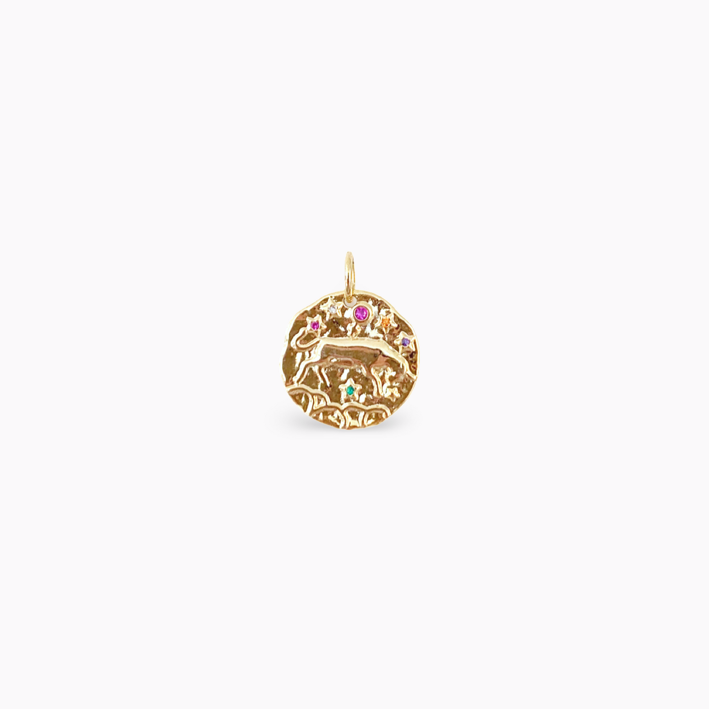 Round Zodiac Charm