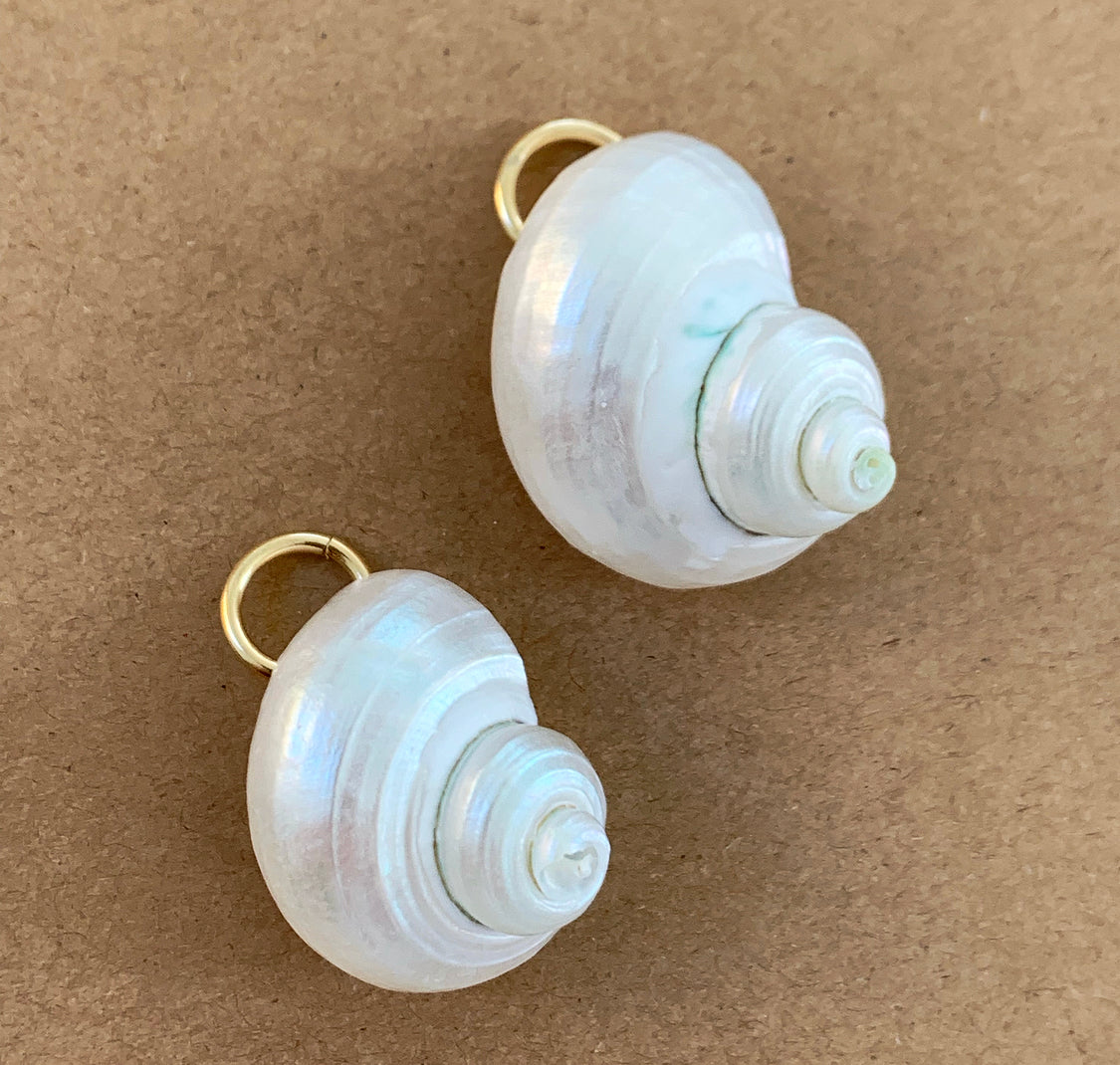 Shell Charm