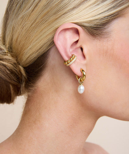 Audrey Hoops