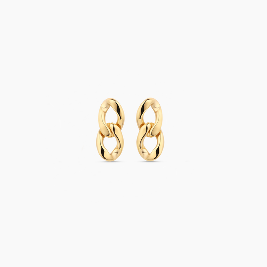 Link Earrings