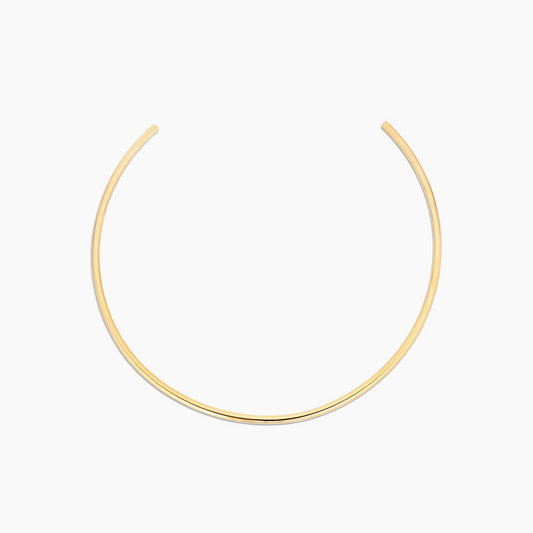 Daria Choker
