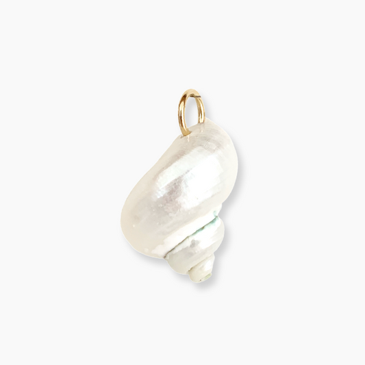 Shell Charm