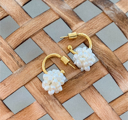 Polly Hoops