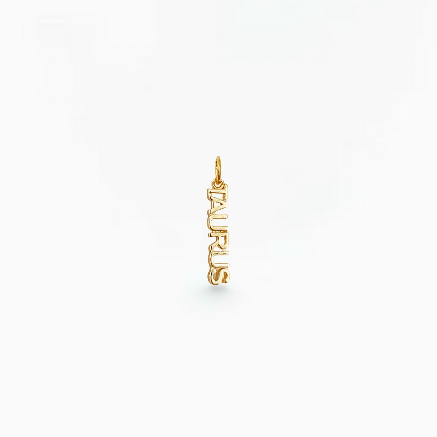 Zodiac Charm