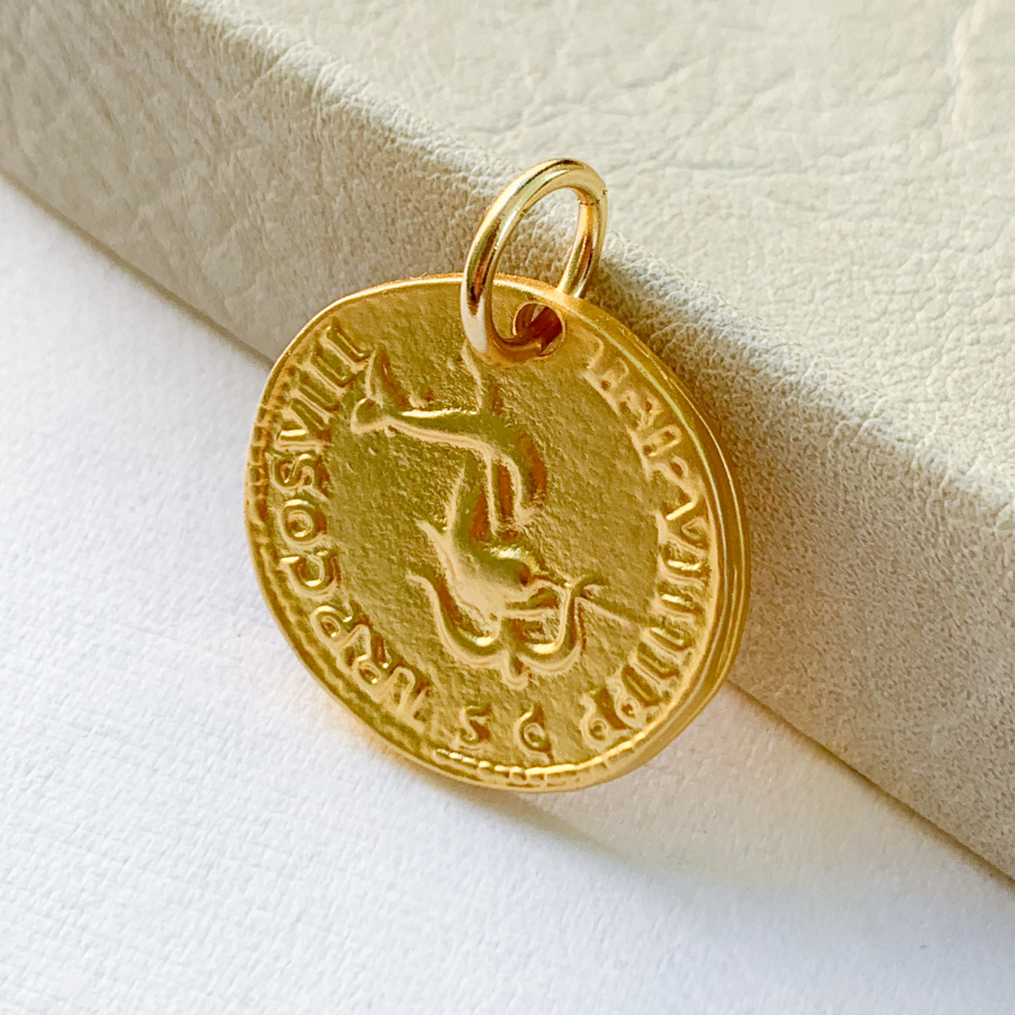 Milena Coin Charm